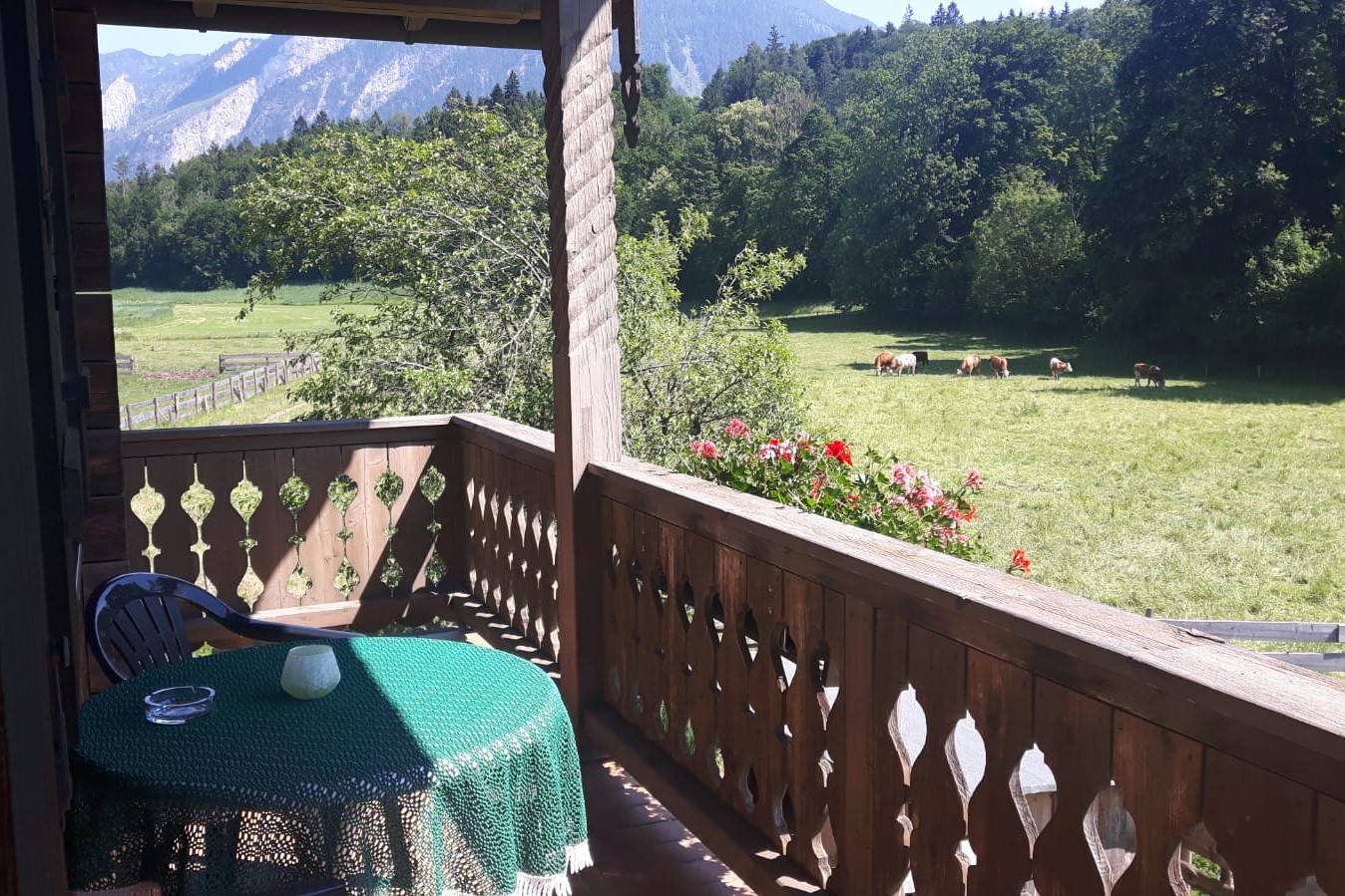 Ausblick vom Balkon Ferienwohnung Schafferbauer Bad reichenhall